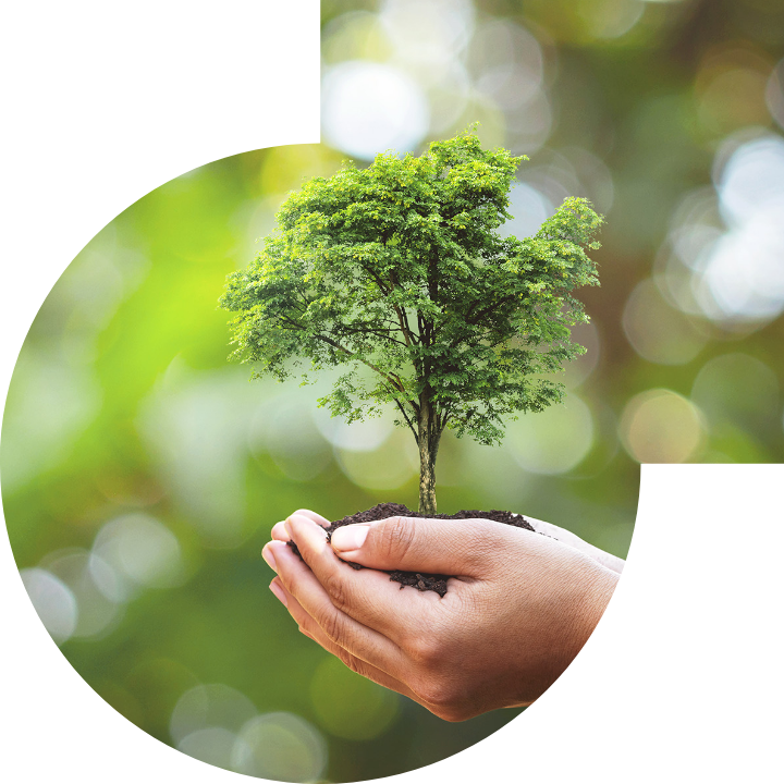 关怀人类、文化、环境与社会